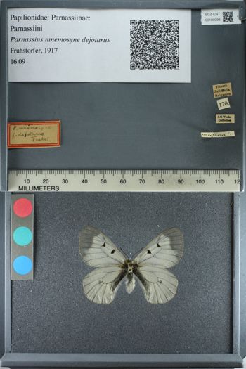 Media type: image;   Entomology 180098